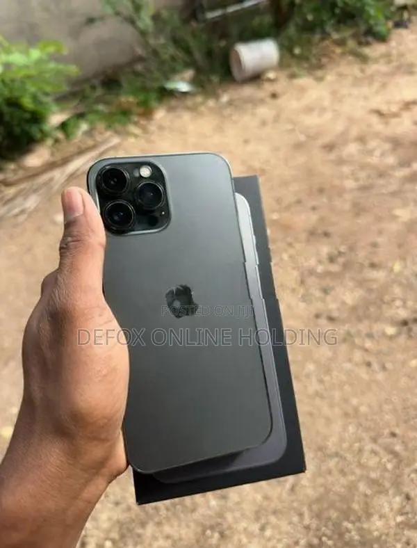 Apple iPhone 13 Pro Max 256GB (Used)