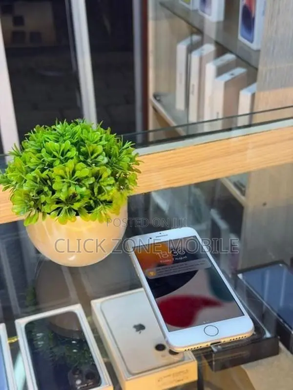 Apple iPhone 7 128GB (Used)