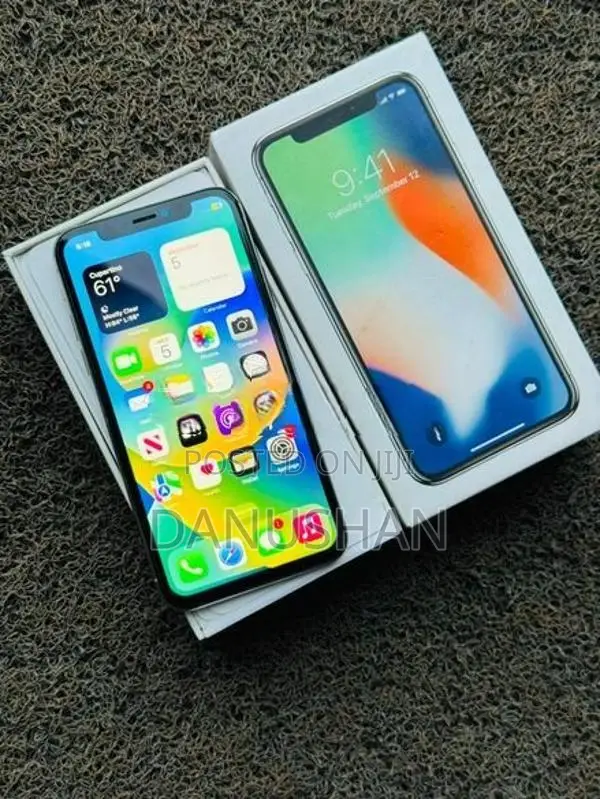Apple iPhone X 256GB (Used)