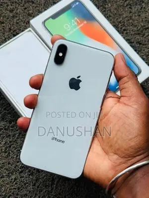 Apple iPhone X 256GB (Used)