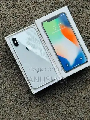 Apple iPhone X 256GB (Used)