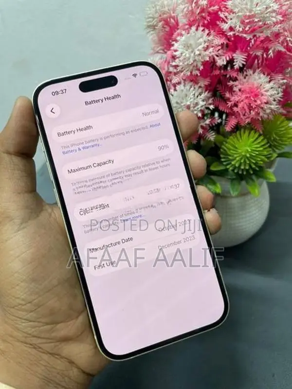 Apple iPhone 15 128GB (Used)