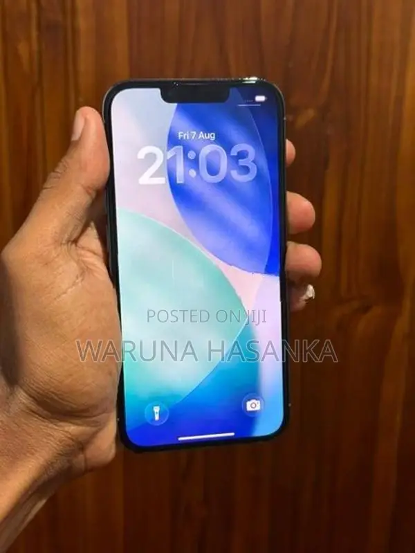 Apple iPhone 13 Pro (Used)