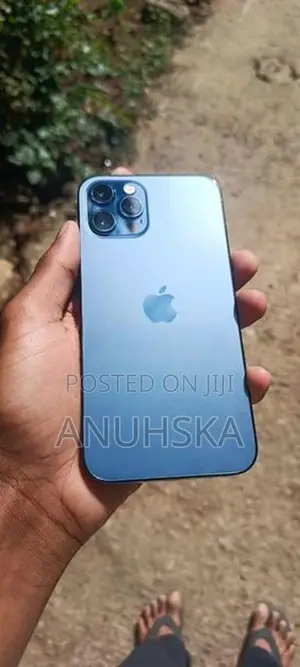 Apple iPhone 12 Pro (Used)