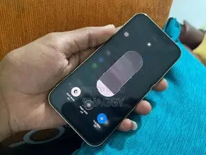 Apple iPhone 12 Pro 256GB (Used)