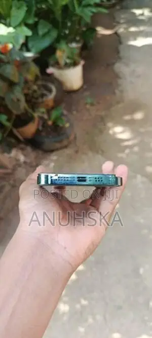 Apple iPhone 12 Pro (Used)