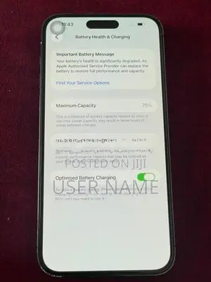 Apple iPhone 14 Pro Max 256GB (Used)