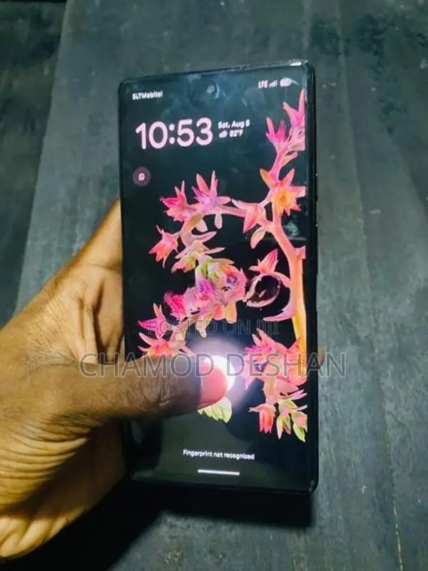 Google Pixel 6 (Used)