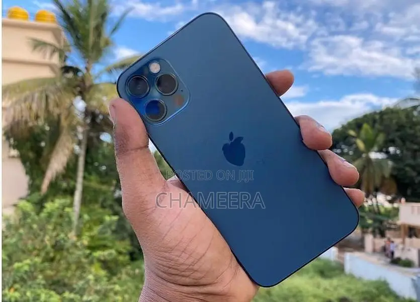 Apple iPhone 12 Pro 256GB (Used)