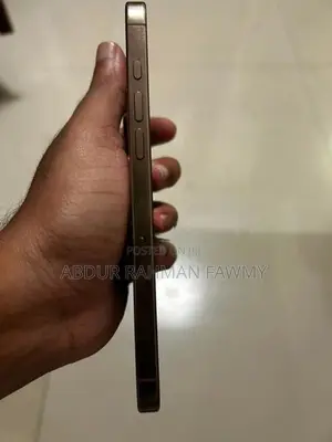 Apple iPhone 16 Pro Max 2025 (Used)