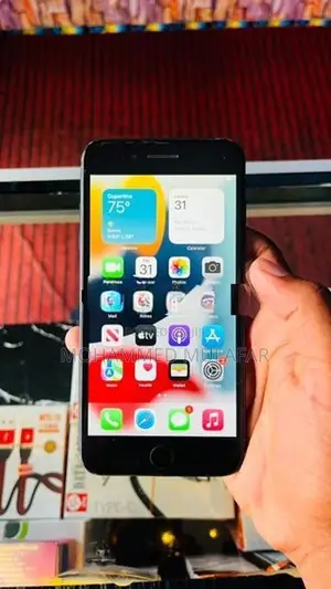 Apple iPhone 7 Plus (Used)
