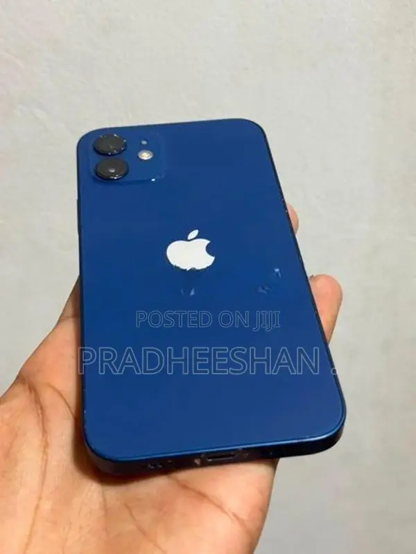 Apple iPhone 12 (Used)