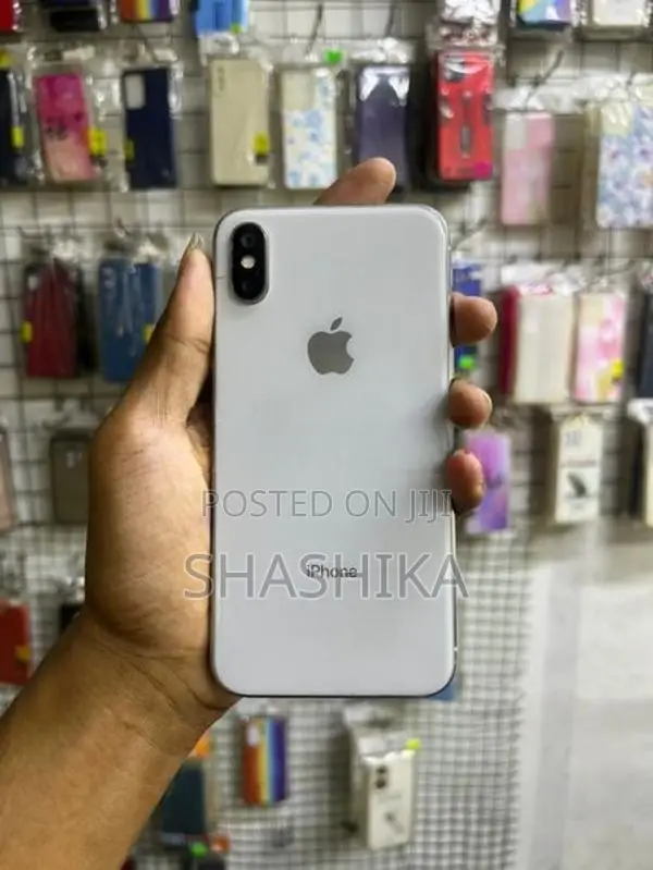 Apple iPhone X 256GB (Used)