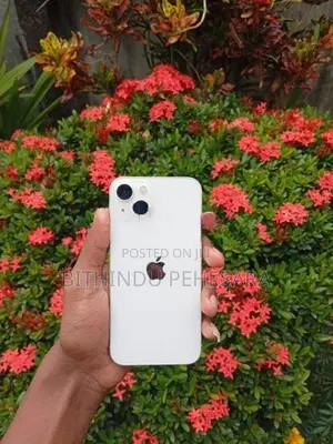 Apple iPhone 13 (Used)
