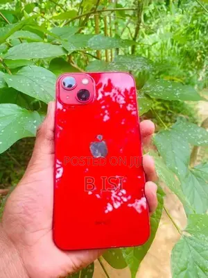Apple iPhone 13 (Used)