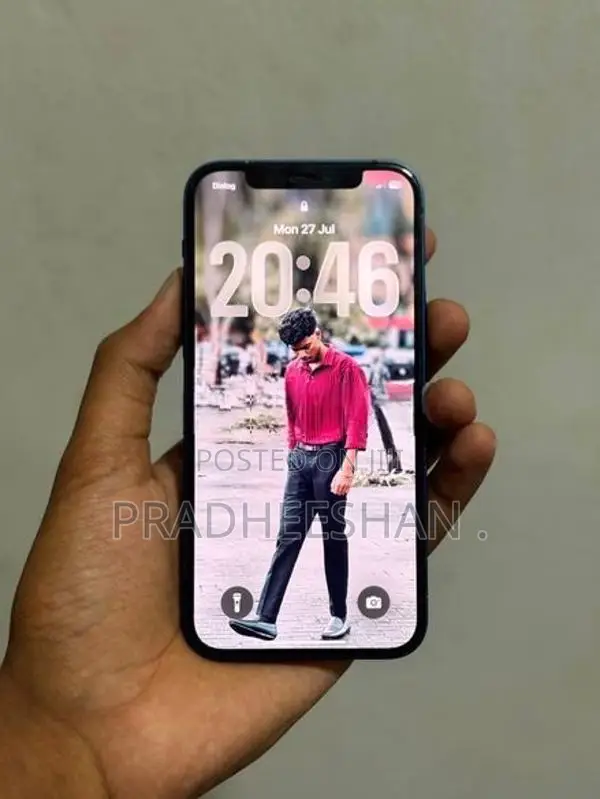 Apple iPhone 12 (Used)
