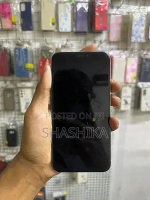 Apple iPhone X 256GB (Used)