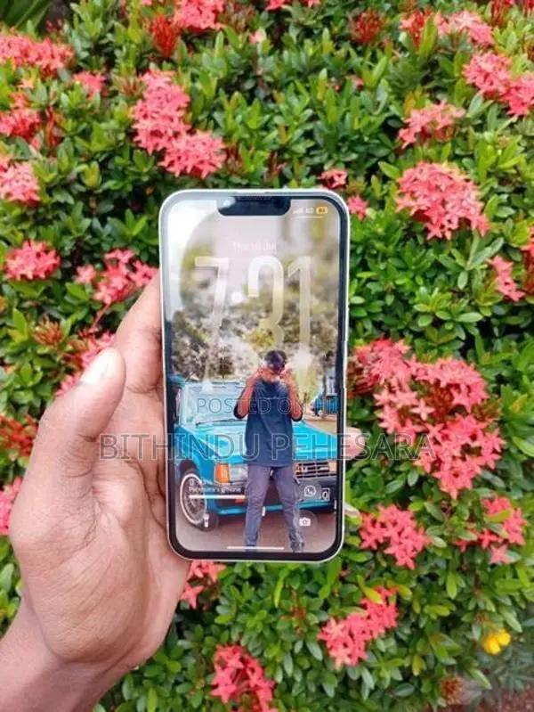 Apple iPhone 13 (Used)
