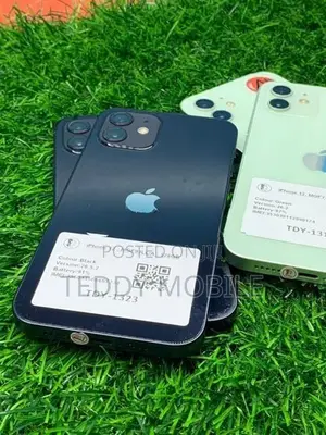 Apple iPhone 12 128GB (Used)