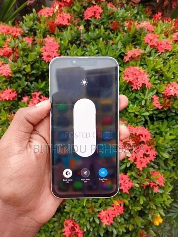 Apple iPhone 13 (Used)