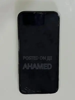 Apple iPhone 12 Pro (Used)