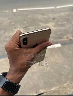 Apple iPhone XS Max 256 (Used)