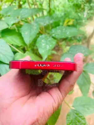 Apple iPhone 13 (Used)
