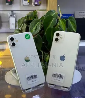 Apple iPhone 11 128GB (Used)