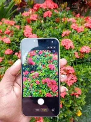Apple iPhone 13 (Used)