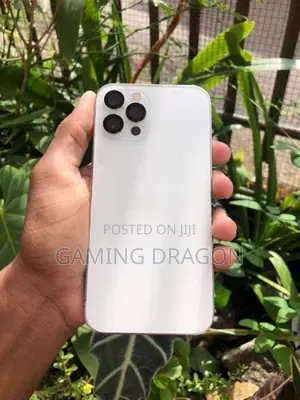 Apple iPhone 12 Pro 256 (Used)