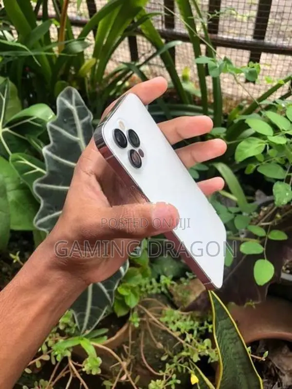 Apple iPhone 12 Pro 256 (Used)