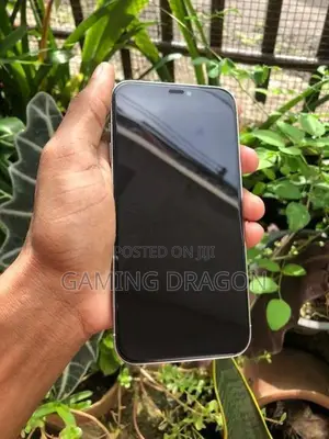 Apple iPhone 12 Pro 256 (Used)