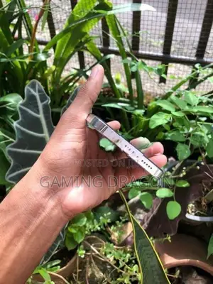 Apple iPhone 12 Pro 256 (Used)