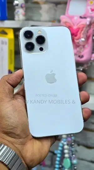 Apple iPhone 13 Pro Max 256GB (Used)