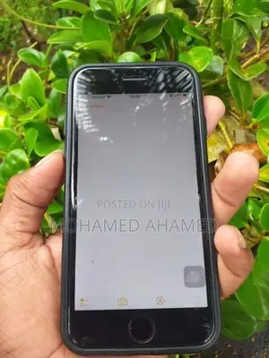 Apple iPhone 7 (Used)