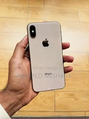 Apple iPhone XS 256GB (Used)
