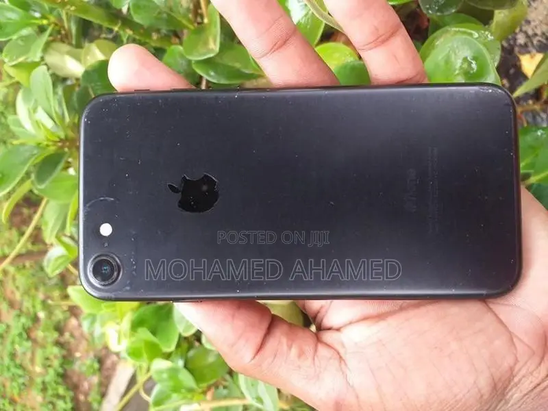 Apple iPhone 7 (Used)