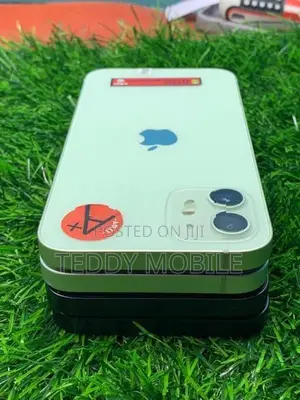 Apple iPhone 12 256GB (Used)