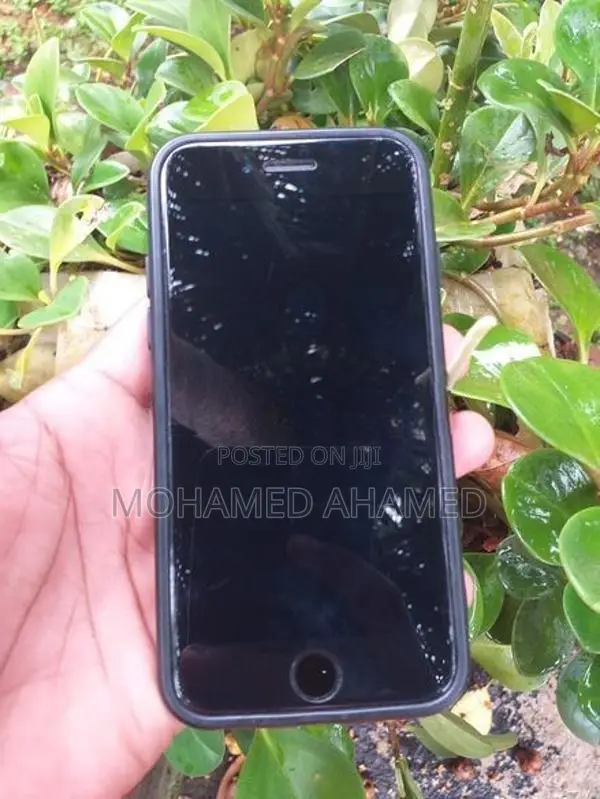 Apple iPhone 7 (Used)