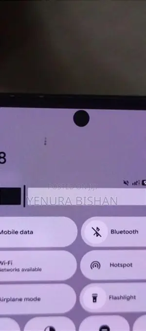 Google Pixel 8 Pro (Used)