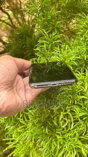 Apple iPhone X 256 GB (Used)