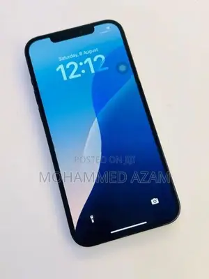 Apple iPhone 12 Pro Max (Used)