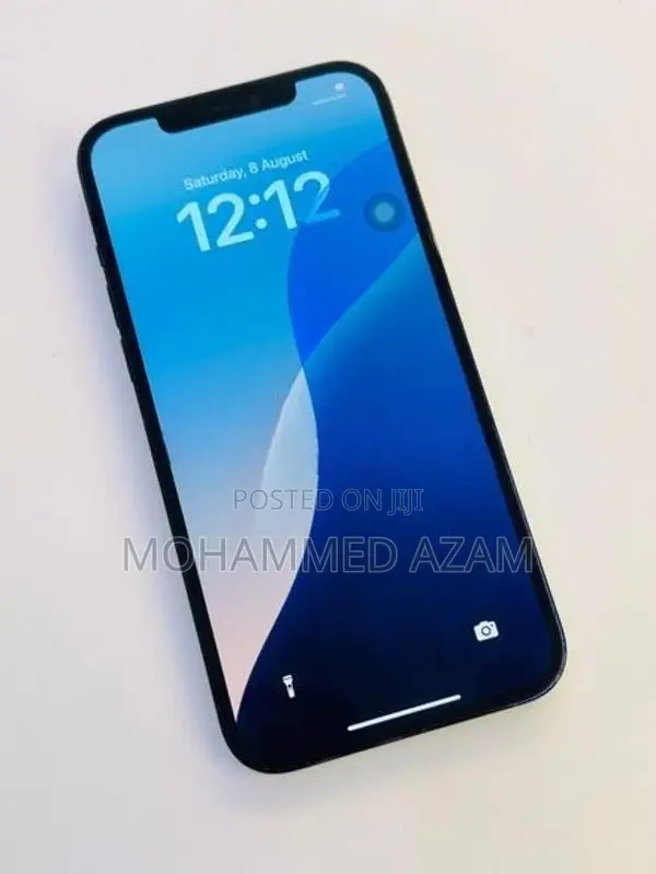 Apple iPhone 12 Pro Max (Used)