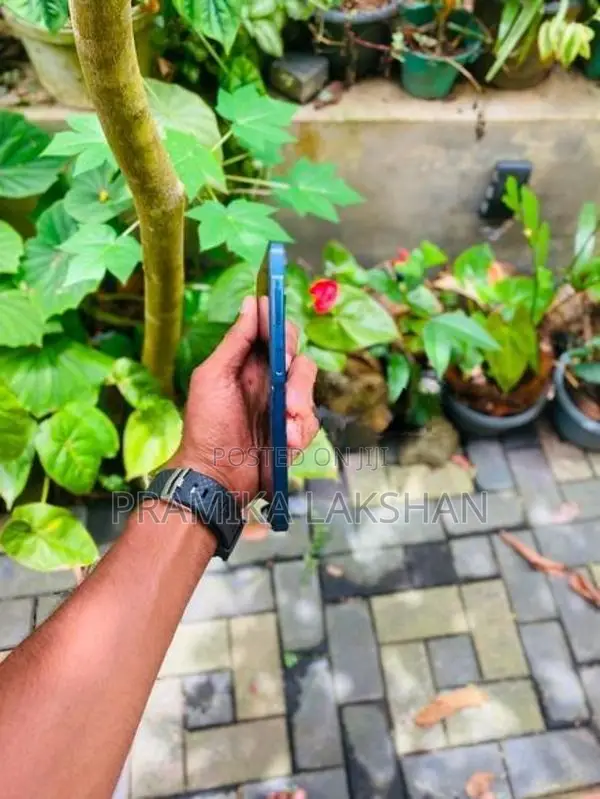 Samsung Galaxy A06 (Used)