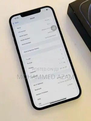 Apple iPhone 12 Pro Max (Used)