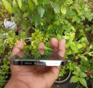 Apple iPhone 12 Pro Max (Used)