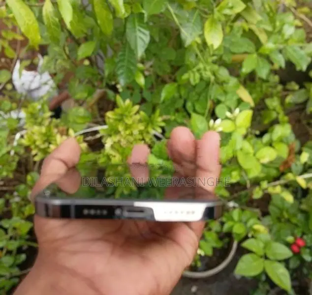 Apple iPhone 12 Pro Max (Used)