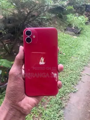 Apple iPhone 11 (Used)