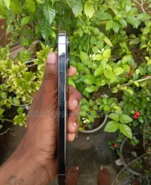Apple iPhone 12 Pro Max (Used)