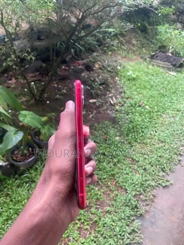 Apple iPhone 11 (Used)